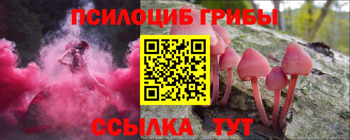 Сызрань  Псилоцибиновые грибы прущие грибы  наркота  Вход с VPN 